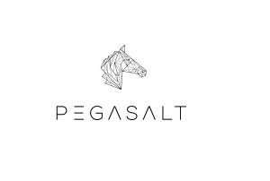 Pegasalt im BED BusinessPark Ehingen Donau